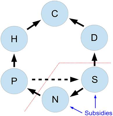 Primary production in subsidized green-brown food webs